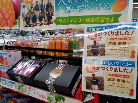 宮古島産マンゴー入荷しました！