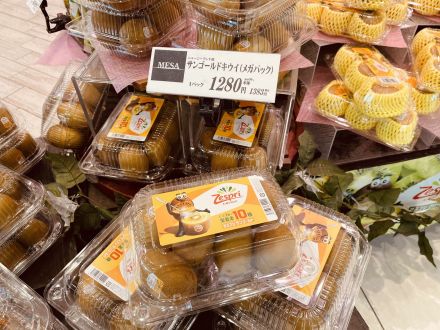 【驚くほどジューシー！】ビタミン補給のゴールドキウイ＆糖度12.7度スイカが大集合！_