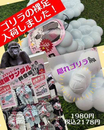 ゴリラの裸足 入荷しました！
