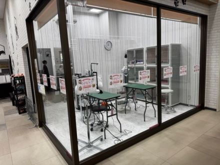 ペットショップスワン　リニューアルオープンのご案内_