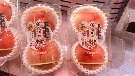 【7/24〜30 広告の品】旬の味覚が届きました！和歌山県産『あら川の桃』が今だけ大特価！_