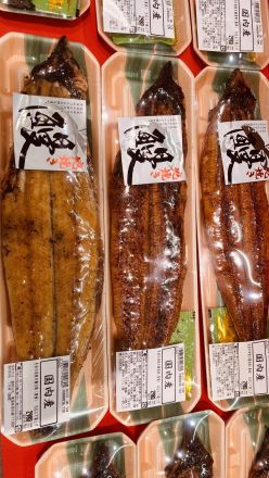 【土用の丑】一口食べれば違いがわかる！オークワこだわり『国内産 魚屋の地焼きうなぎ』登場！_