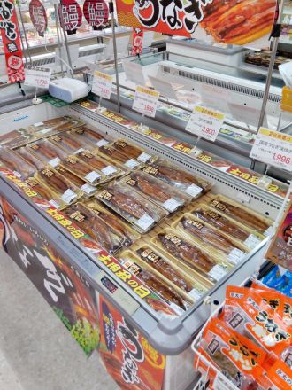 土用丑の日はうなぎを食べて暑い夏を乗り切ろう！！