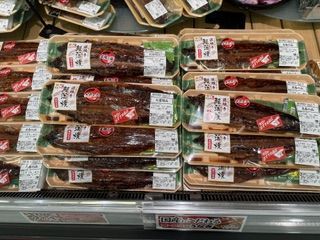 本日7月26日（日）は土用の丑の日！！_