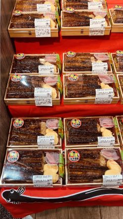 【本日・土用の丑の日】どれを選ぶ？鹿児島県産『国産うなぎ』のお惣菜特製お重＆お弁当が勢揃い！_
