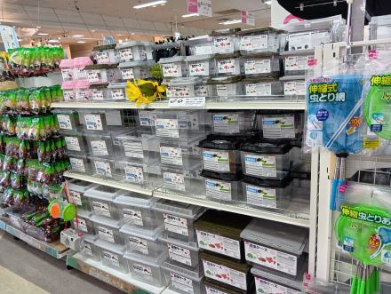 「めざせ、小さな自然博士！今年の夏休みは、生き物大冒険。」_