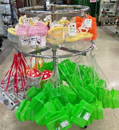 「めざせ、小さな自然博士！今年の夏休みは、生き物大冒険。」_