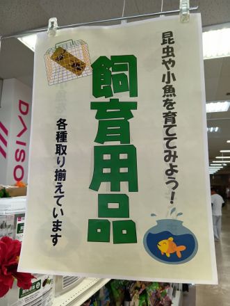 「めざせ、小さな自然博士！今年の夏休みは、生き物大冒険。」_