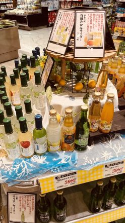 【おすすめの品】シュワッと爽快！厳選果汁たっぷりの『ご当地ご褒美サイダー』大集結！_