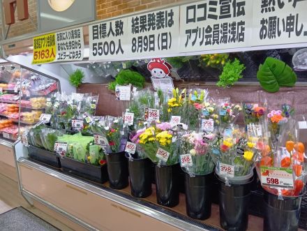 集まるよろこび、味わうしあわせ。あなたの街のオークワ湯浅店から。_