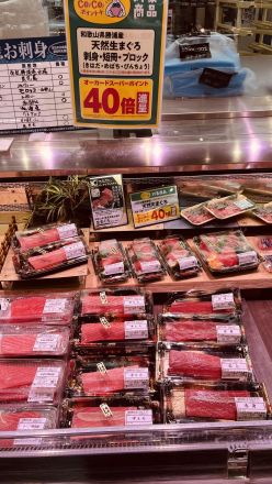 【勝浦港直送】一度も冷凍していない「天然生まぐろ」！今ならオーカードポイント【40倍】進呈！_
