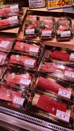 【勝浦港直送】一度も冷凍していない「天然生まぐろ」！今ならオーカードポイント【40倍】進呈！_