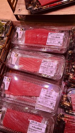 【勝浦港直送】一度も冷凍していない「天然生まぐろ」！今ならオーカードポイント【40倍】進呈！_