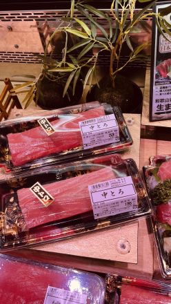 【勝浦港直送】一度も冷凍していない「天然生まぐろ」！今ならオーカードポイント【40倍】進呈！_
