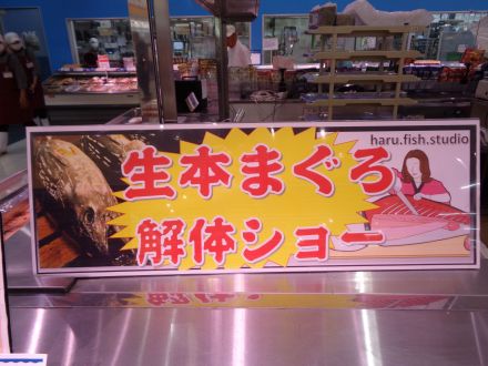 本日、生本まぐろ解体即売会を実施します！_