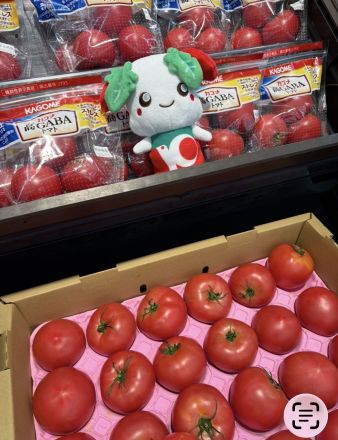 まだまだ暑い！夏野菜で元気に_