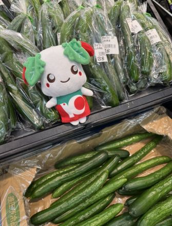 まだまだ暑い！夏野菜で元気に_