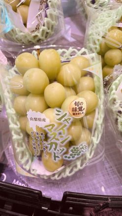 【8/21～27 広告の品】今一番美味しい季節！『秋のみずみずしいぶどうフェア』開催中！_