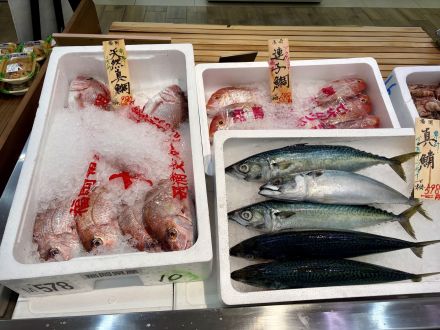 『鮮魚市』開催しています！オークワ春日井店_