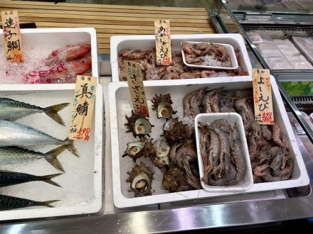 『鮮魚市』開催しています！オークワ春日井店_