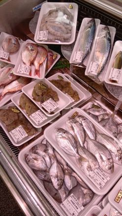 鮮魚コーナーより♪オークワ わくわくシティ尾崎店_