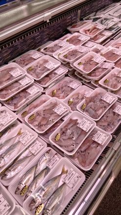 鮮魚コーナーより♪オークワ わくわくシティ尾崎店_