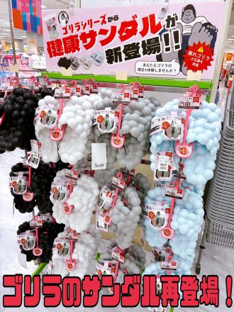 黒瀬のコレ！『ゴリラの健康サンダル』！