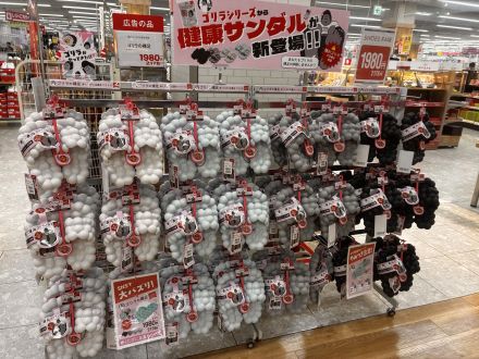 話題のゴリラの裸足サンダル再入荷！