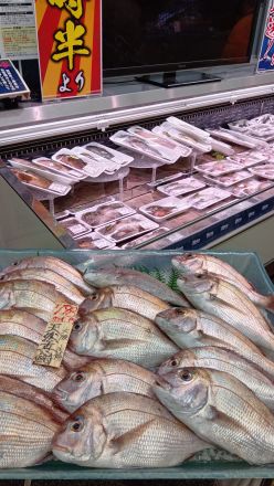 鮮魚コーナーより＼(^o^)／_