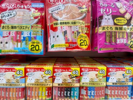 ＊：.｡ネコちゃんの日☆。.:＊オークワ中津川中村店_