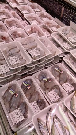 鮮魚コーナーより＼(^o^)／オークワ わくわくシティ尾崎店_