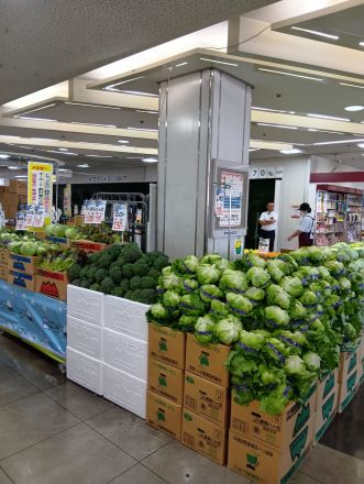 予告(^o^)青果コーナーより＼(^o^)／オークワ わくわくシティ尾崎店_