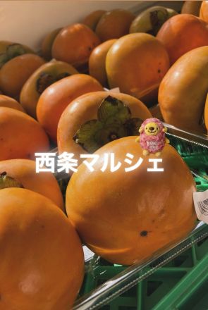 【ご案内】お待たせいたしました！西条マルシェ再開！