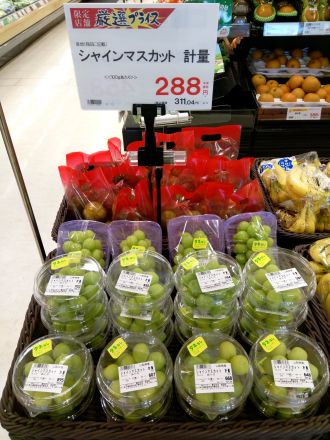 ９月１２日（土）シャインマスカット試食販売します♪
