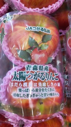 【農産コーナー】 秋のフルーツ大集合！おすすめ2選 _