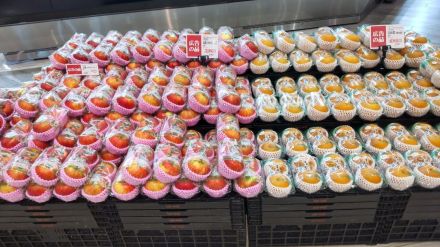 【農産コーナー】 秋のフルーツ大集合！おすすめ2選 _