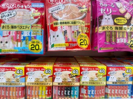 ＊：.｡ネコちゃんの日☆。.:＊オークワ中津川中村店_