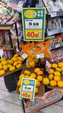 【農産コーナー】和歌山県産の「みかん」「柿」がオーカードポイント40倍！_