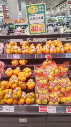 【農産コーナー】和歌山県産の「みかん」「柿」がオーカードポイント40倍！_