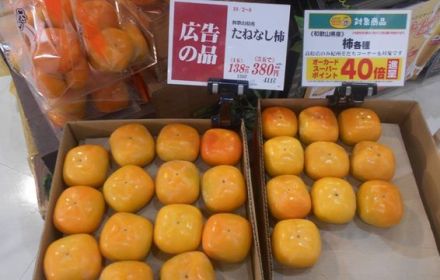 ＣＯ2ＣＯ２ポイント「和歌山県産　みかん・柿」が追加になりました！！_