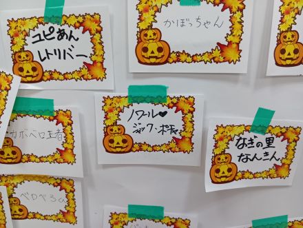 商品券3,000円分が当たるチャンス！かぼちゃさんの名前を大募集！_