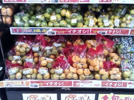 旬のみかん出揃いました！！