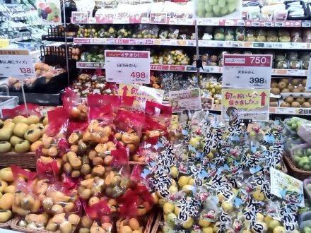 旬のみかん出揃いました！！