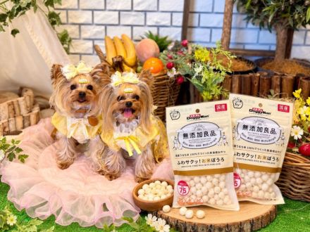 ＊：.｡☆ワンちゃんの日☆。.:＊オークワ中津川中村店_