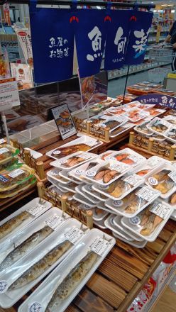 オークワ わくわくシティ尾崎店魚旬菜コーナーより＼(^o^)／_