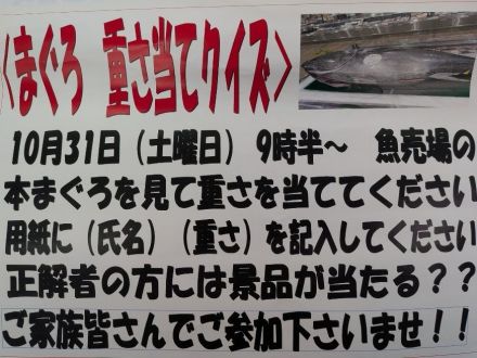 まぐろ解体即売会_