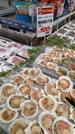 オークワ わくわくシティ尾崎店鮮魚コーナーより＼(^o^)／_