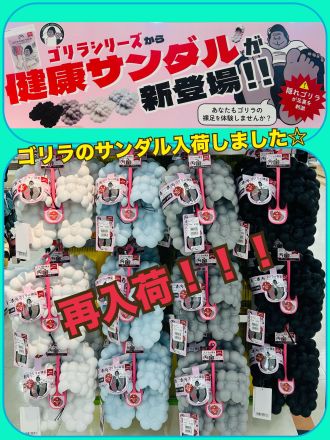 ~ 商品紹介 健康サンダルゴリラサンダル in2階靴売場 ~