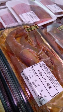 鮮魚コーナーより＼(^o^)／_