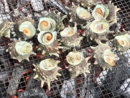 本日より3日間限定！対馬物産フェア開催♪
